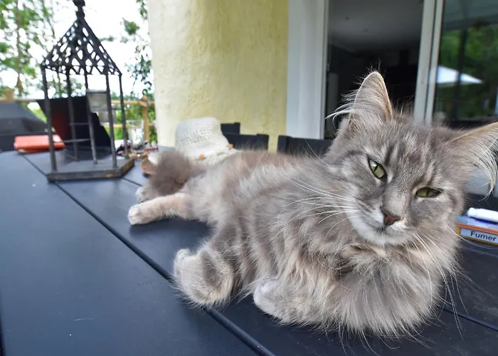 펜션 Sea View In *